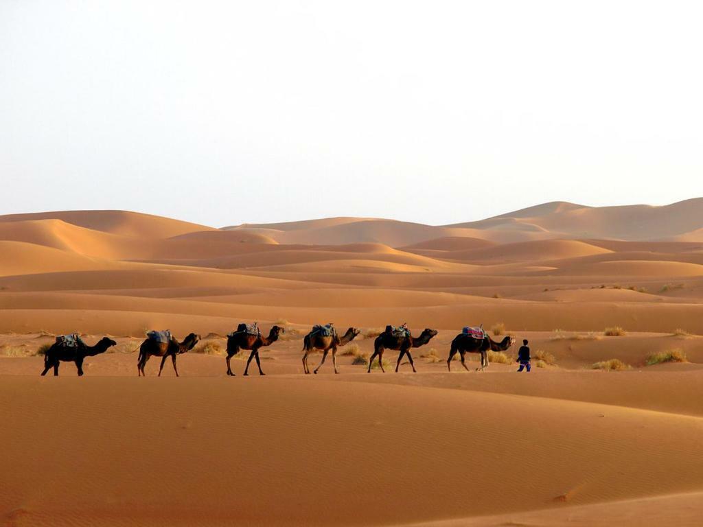 Camp Sahara Holidays Мхамид Экстерьер фото